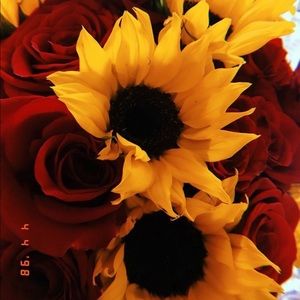 Meet your Posher, Grisel